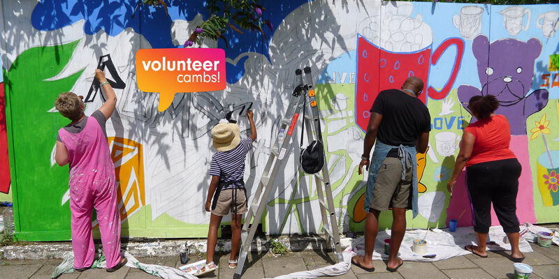 volunteer-camb